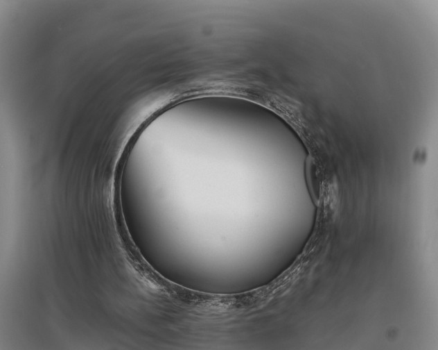 X0000097480148200802291406