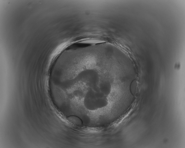 X0000097480149200802291406