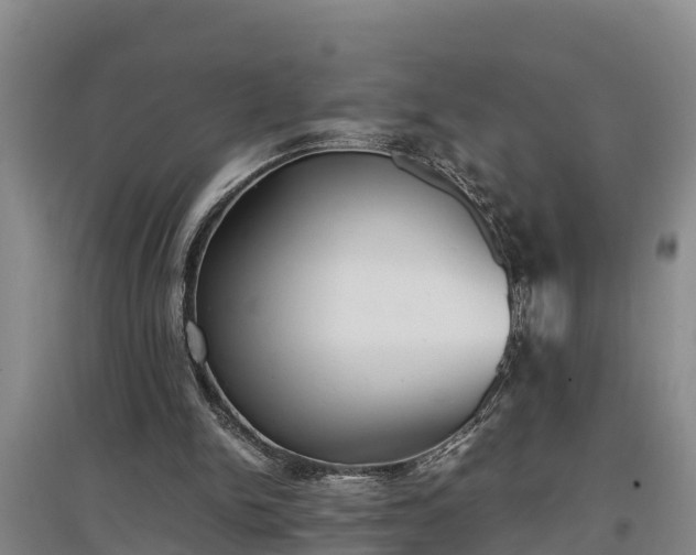 X0000097480150200802291406