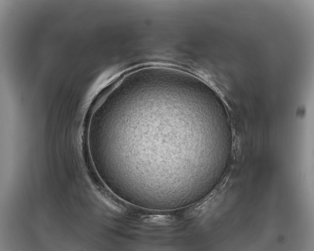 X0000097480151200802291406