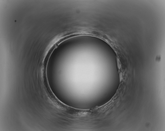 X0000097480152200802291406