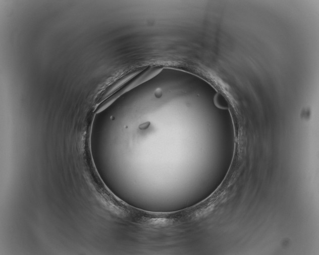 X0000097480153200802291406