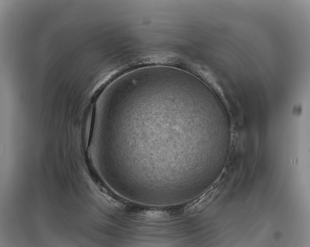 X0000097480154200802291406