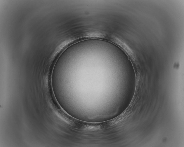 X0000097480155200802291406