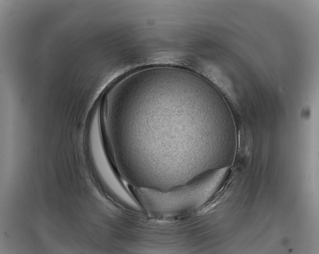 X0000097480156200802291406