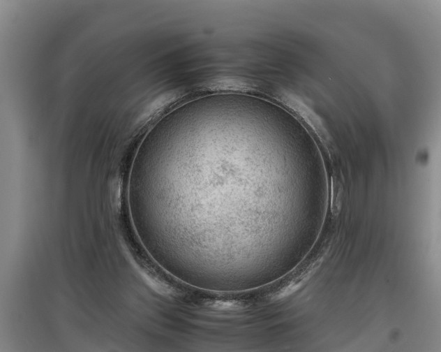 X0000097480157200802291406