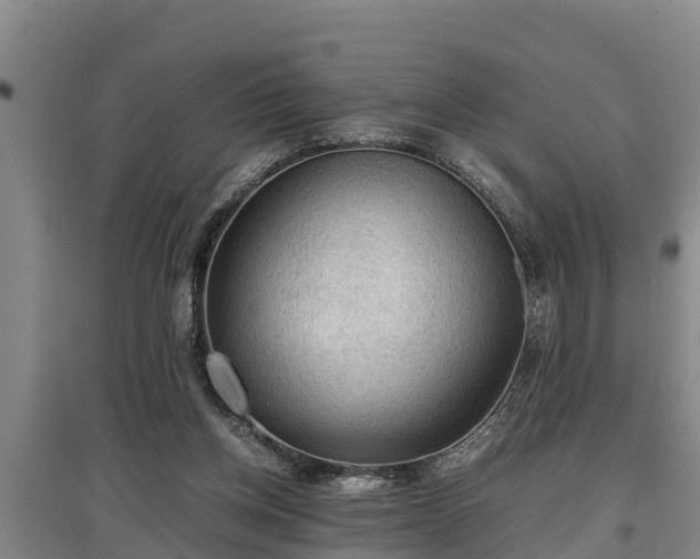 X0000097480158200802291406