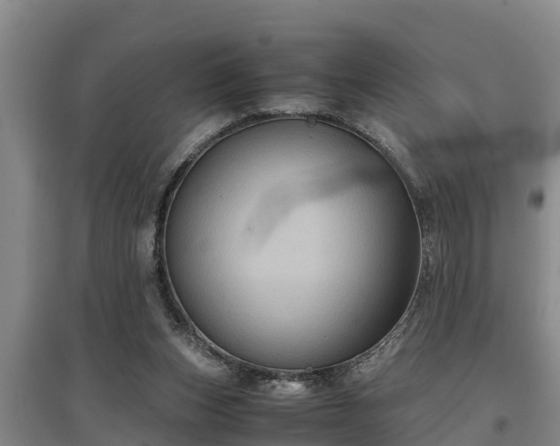 X0000097480159200802291406