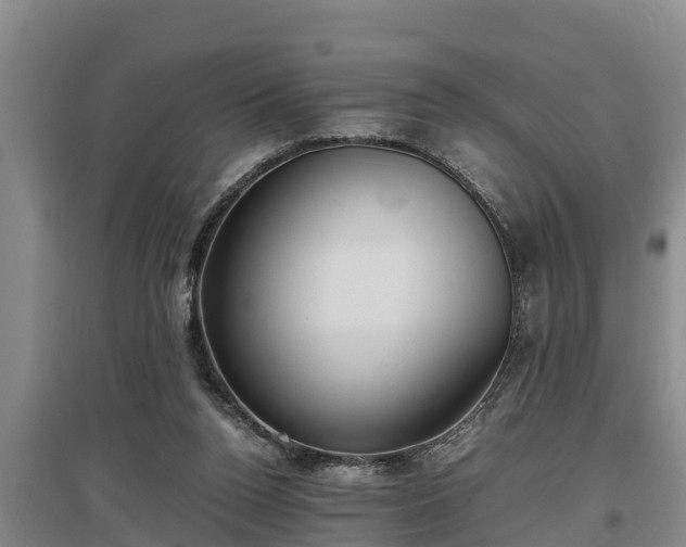 X0000097480160200802291407