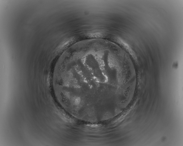 X0000097480161200802291407