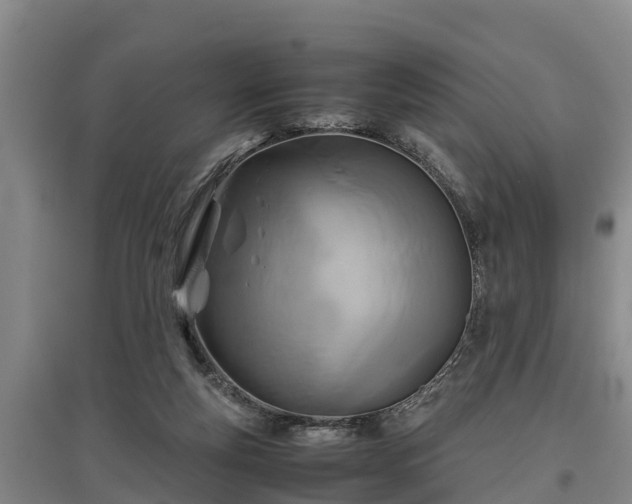 X0000097480163200802291407