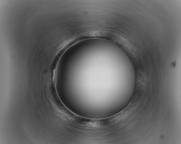 X0000097480164200802291407