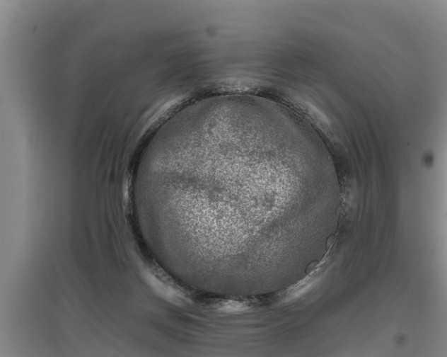 X0000097480166200802291407