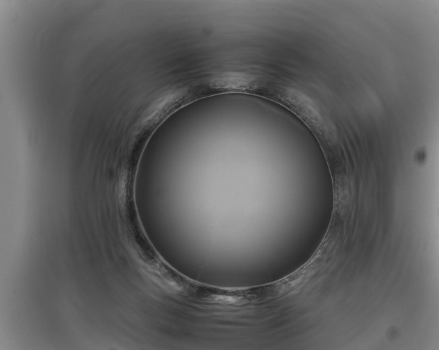 X0000097480167200802291407