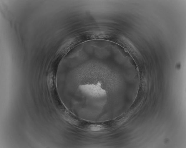 X0000097480169200802291407