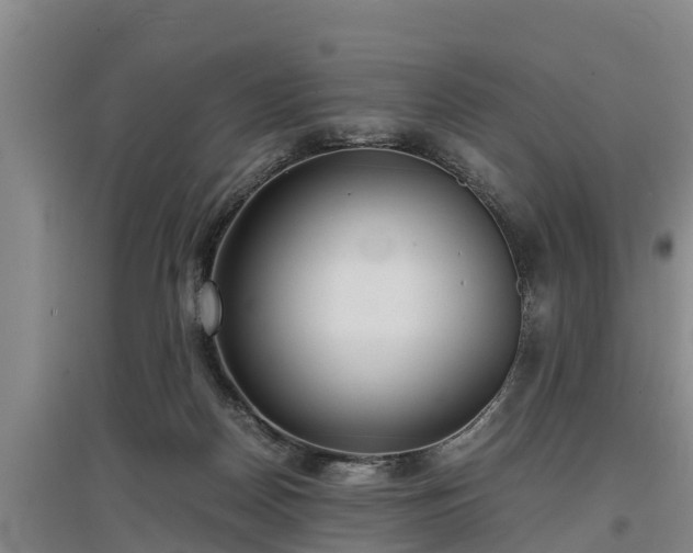 X0000097480170200802291407