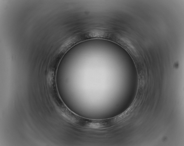 X0000097480171200802291407