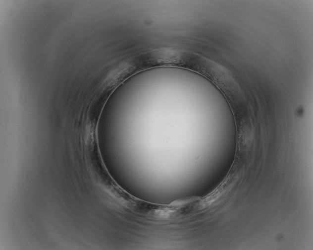 X0000097480172200802291407