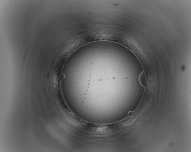 X0000097480173200802291407