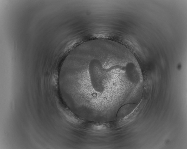 X0000097480175200802291407