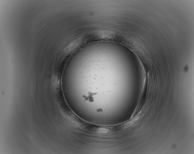 X0000097480176200802291407