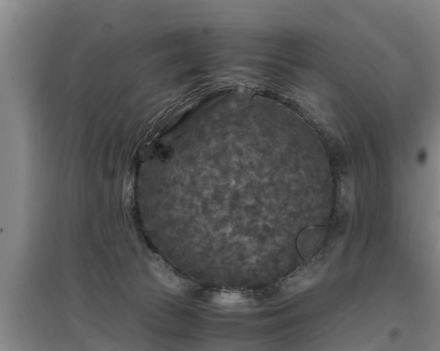 X0000097480177200802291407