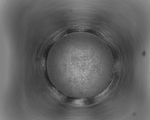 X0000097480178200802291407