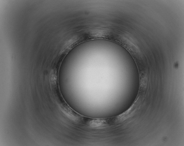 X0000097480179200802291407