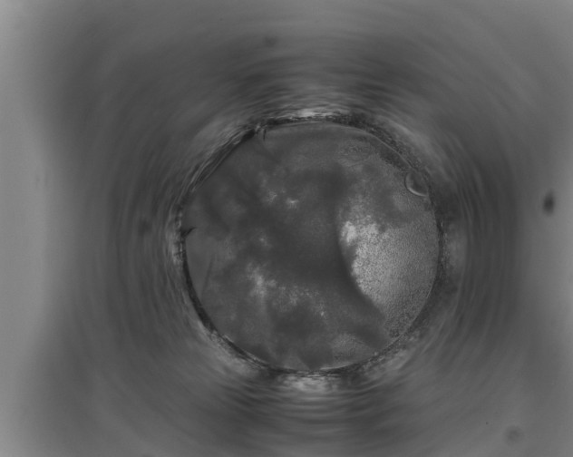 X0000097480181200802291407