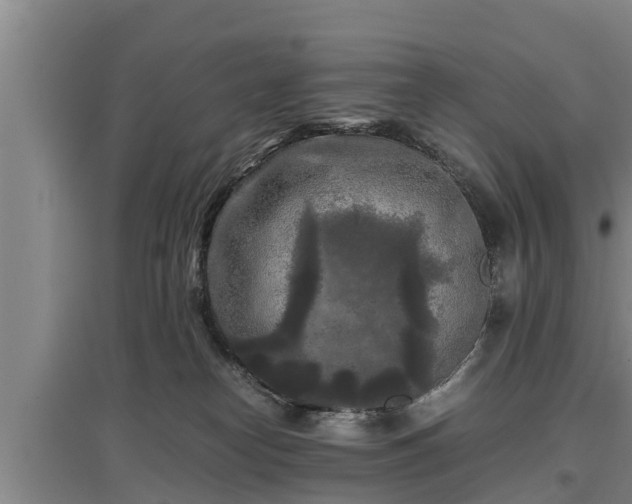 X0000097480182200802291407