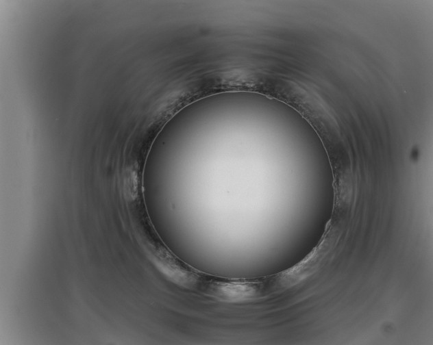 X0000097480183200802291407