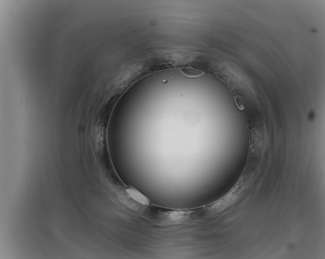 X0000097480184200802291407