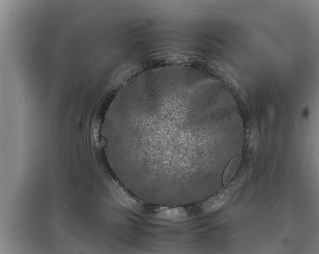 X0000097480185200802291407