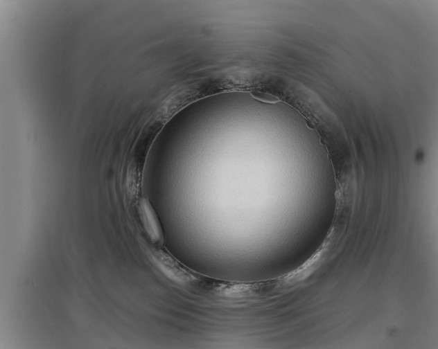 X0000097480186200802291407