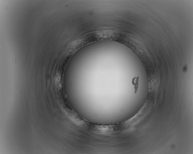 X0000097480187200802291407