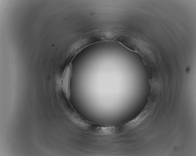 X0000097480188200802291407