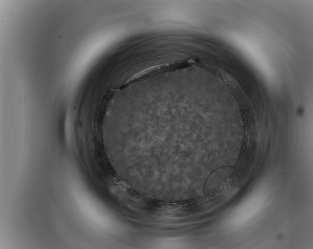 X0000097480189200802291407