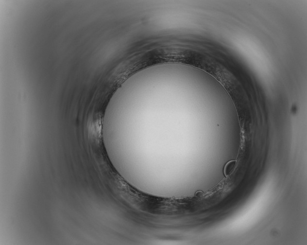 X0000097480190200802291407