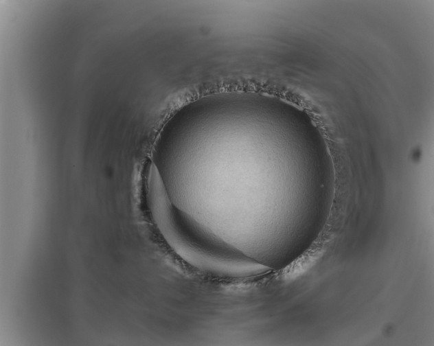 X0000097480192200802291407