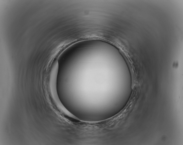 X0000097480193200802291406