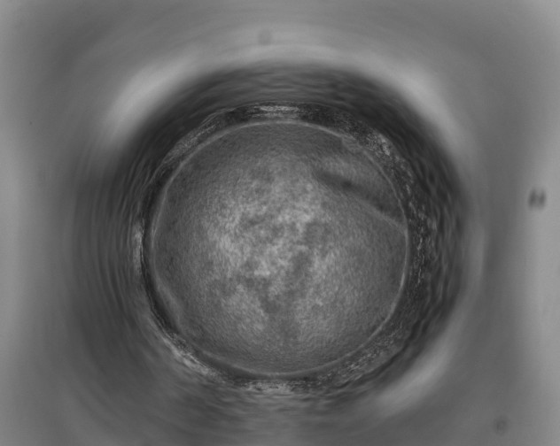 X0000097480194200802291406