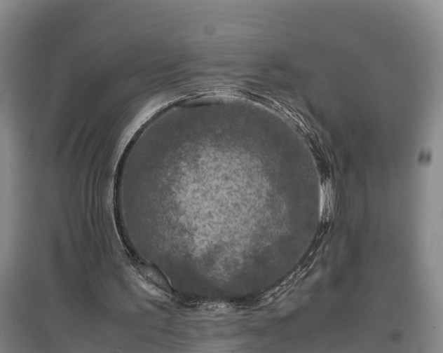 X0000097480195200802291406