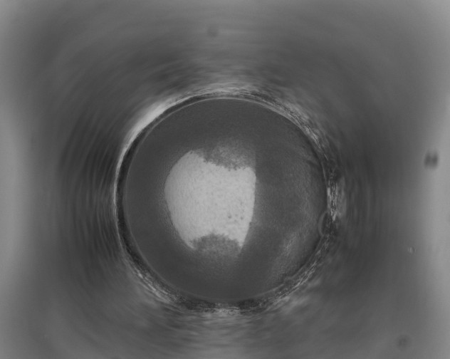 X0000097480196200802291406