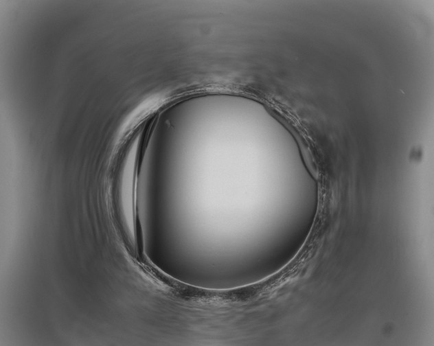 X0000097480197200802291406