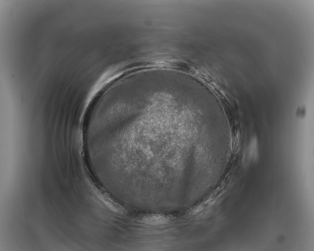 X0000097480198200802291406