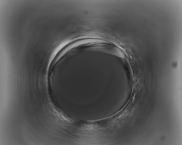 X0000097480200200802291406