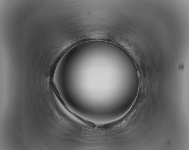 X0000097480201200802291406