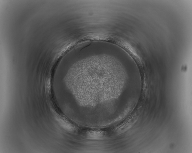 X0000097480202200802291406