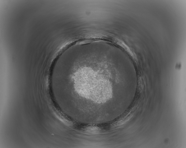 X0000097480203200802291406