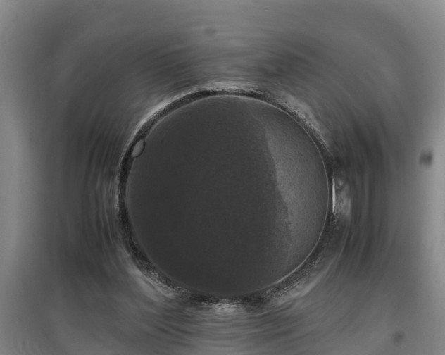 X0000097480204200802291406